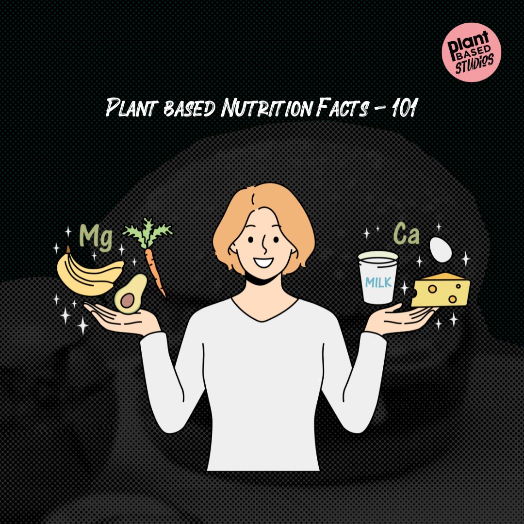 Plant-Based Nutrition 101: An Overview of Essential Nutrients and How to Ensure a Balanced Diet