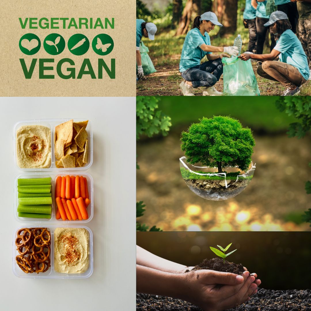 Veganism and the environment